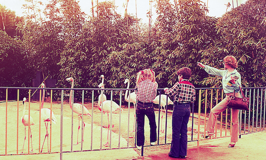 vintage family day at the zoo